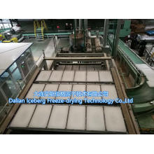 High Capacity Paraffin Production Line